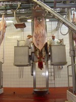 Подробнее... Снятие шкуры крупного рогатого скота
